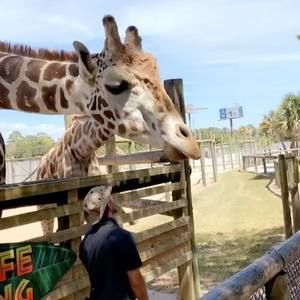 Meet your Posher, Derice